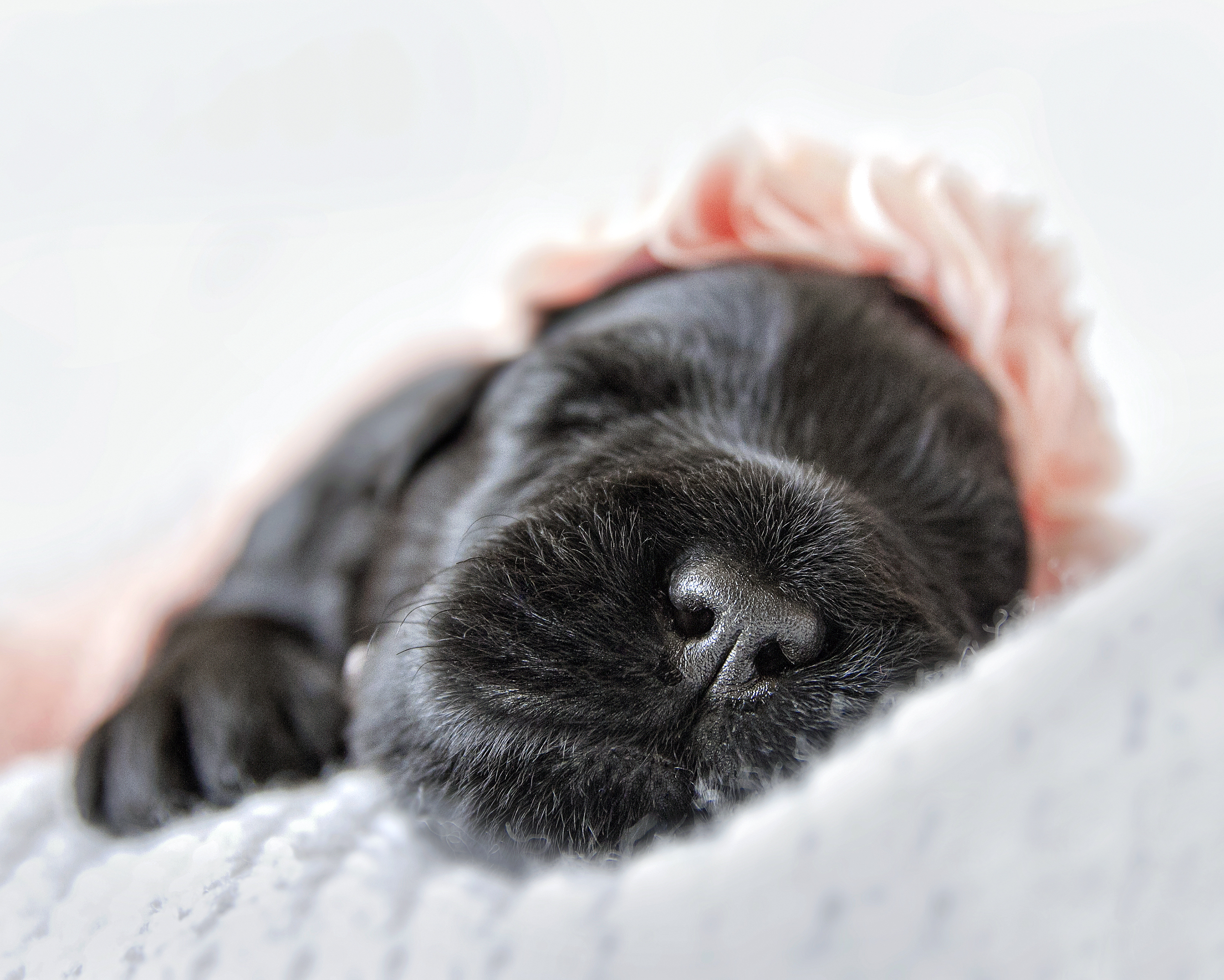 Slideshow sample 3